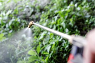 Worker spraying a field with Paraquat pesticide