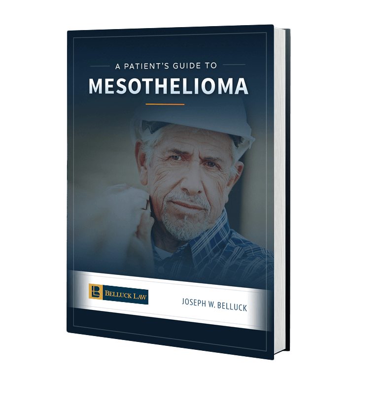 BelluckFox-eBook-Patients-Guide-To-Mesothelioma (1)